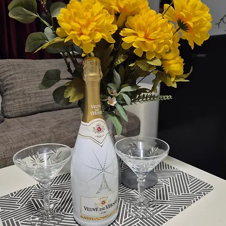 Carol Penthouse -outside Jacuzzi And Barbeque- 10 Min To The Christmas Market Apartment Craiova