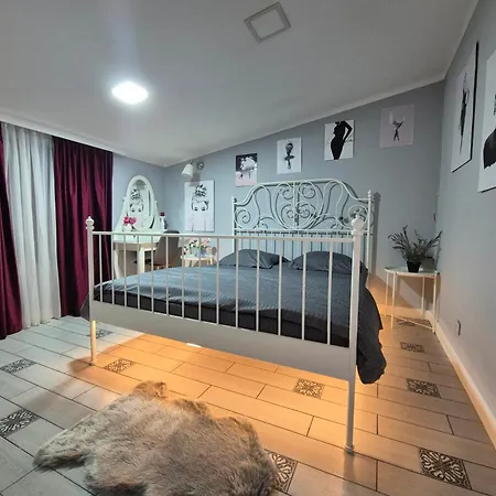 Carol Penthouse -outside Jacuzzi And Barbeque- 10 Min To The Christmas Market * Craiova