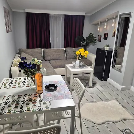 Carol Penthouse -outside Jacuzzi And Barbeque- 10 Min To The Christmas Market Apartment Craiova
