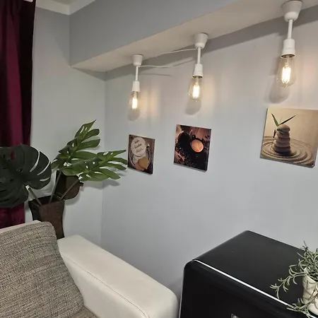 Carol Penthouse -outside Jacuzzi And Barbeque- 10 Min To The Christmas Market *