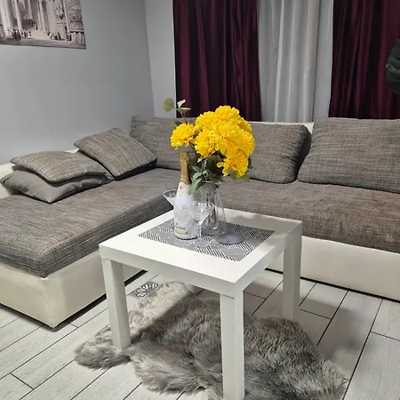 Carol Penthouse -outside Jacuzzi And Barbeque- 10 Min To The Christmas Market Apartment *