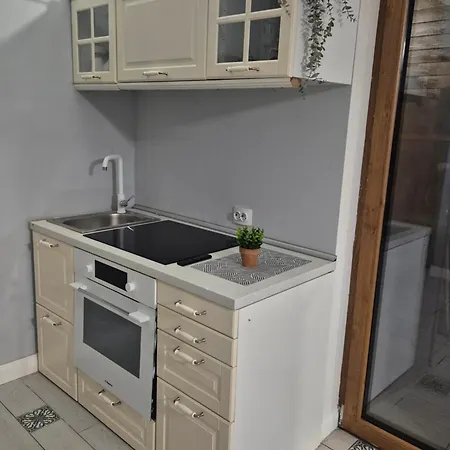 Carol Penthouse -outside Jacuzzi And Barbeque- 10 Min To The Christmas Market דירה קריובה