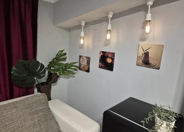 Carol Penthouse -outside Jacuzzi And Barbeque- 10 Min To The Christmas Market *