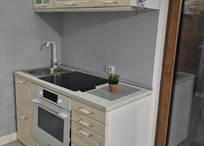 Carol Penthouse -outside Jacuzzi And Barbeque- 10 Min To The Christmas Market 公寓 克拉奥华